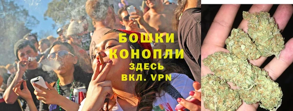 ПСИЛОЦИБИНОВЫЕ ГРИБЫ Алексин