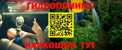 крисы Заводоуковск