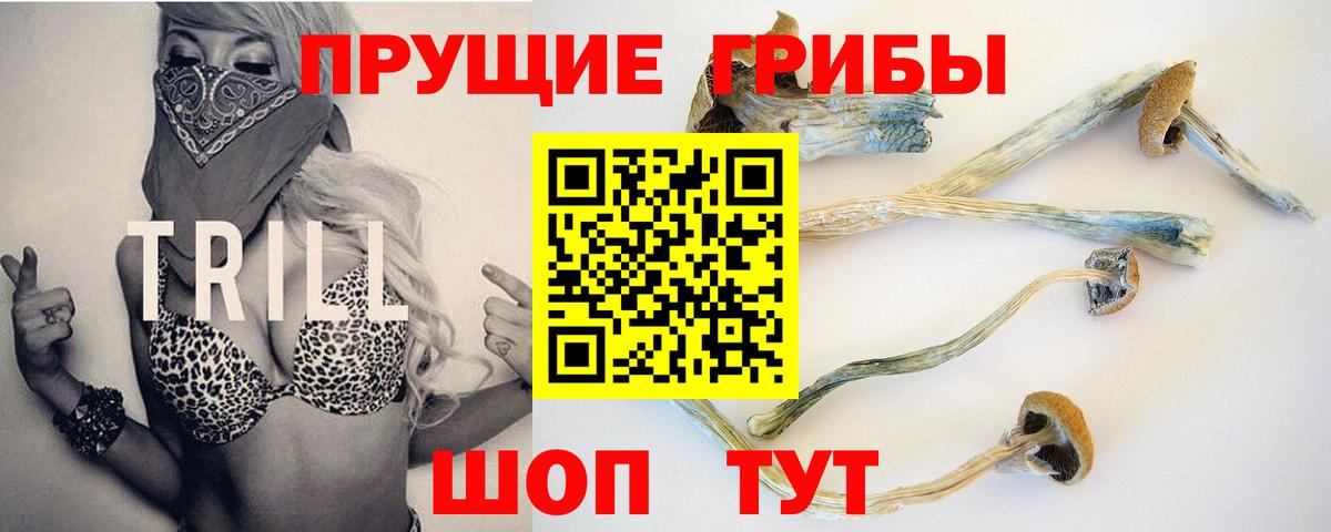 Нурлат  Псилоцибиновые грибы Cubensis  Вход с VPN 
