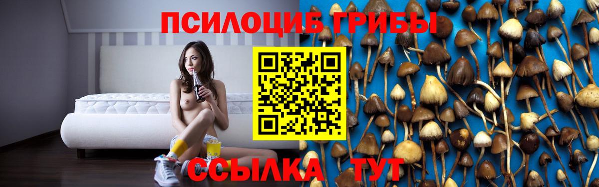 Псилоцибиновые грибы GOLDEN TEACHER Нурлат